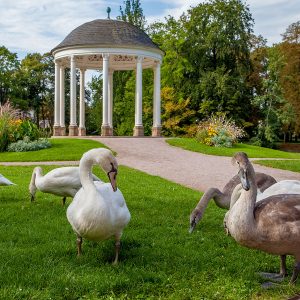 orangerie-Philippe-de-Rexel